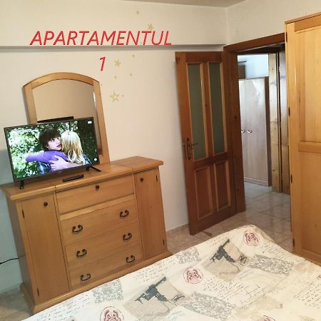 Apartament Cu 2 Camere,Ultracentral In Арад Екстериор снимка