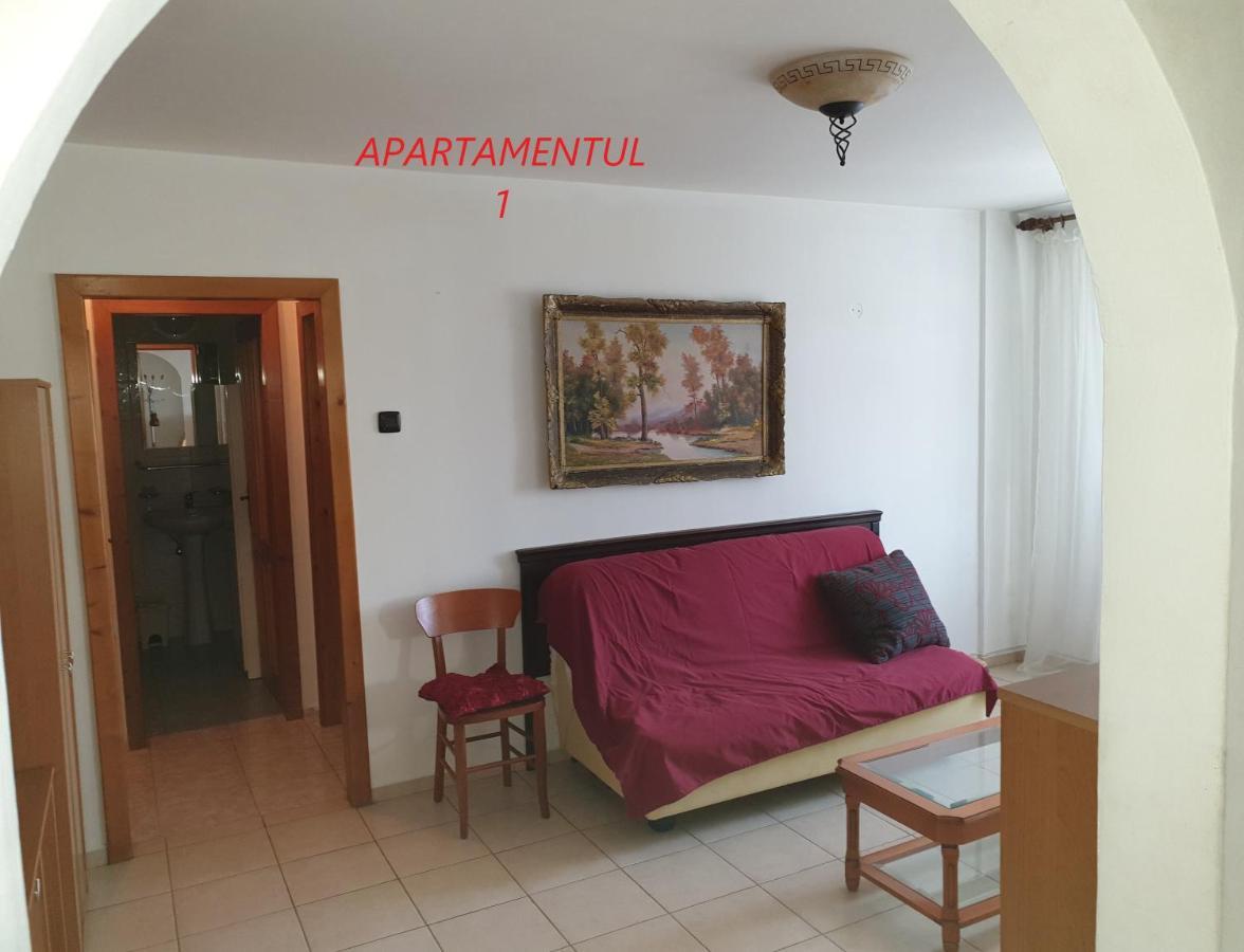 Apartament Cu 2 Camere,Ultracentral In Арад Екстериор снимка
