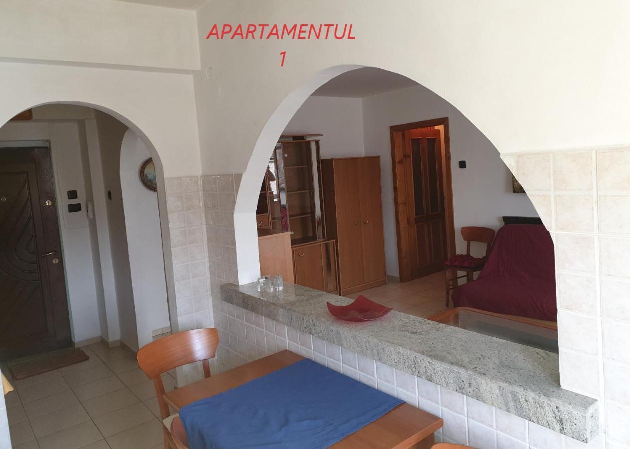Apartament Cu 2 Camere,Ultracentral In Арад Екстериор снимка