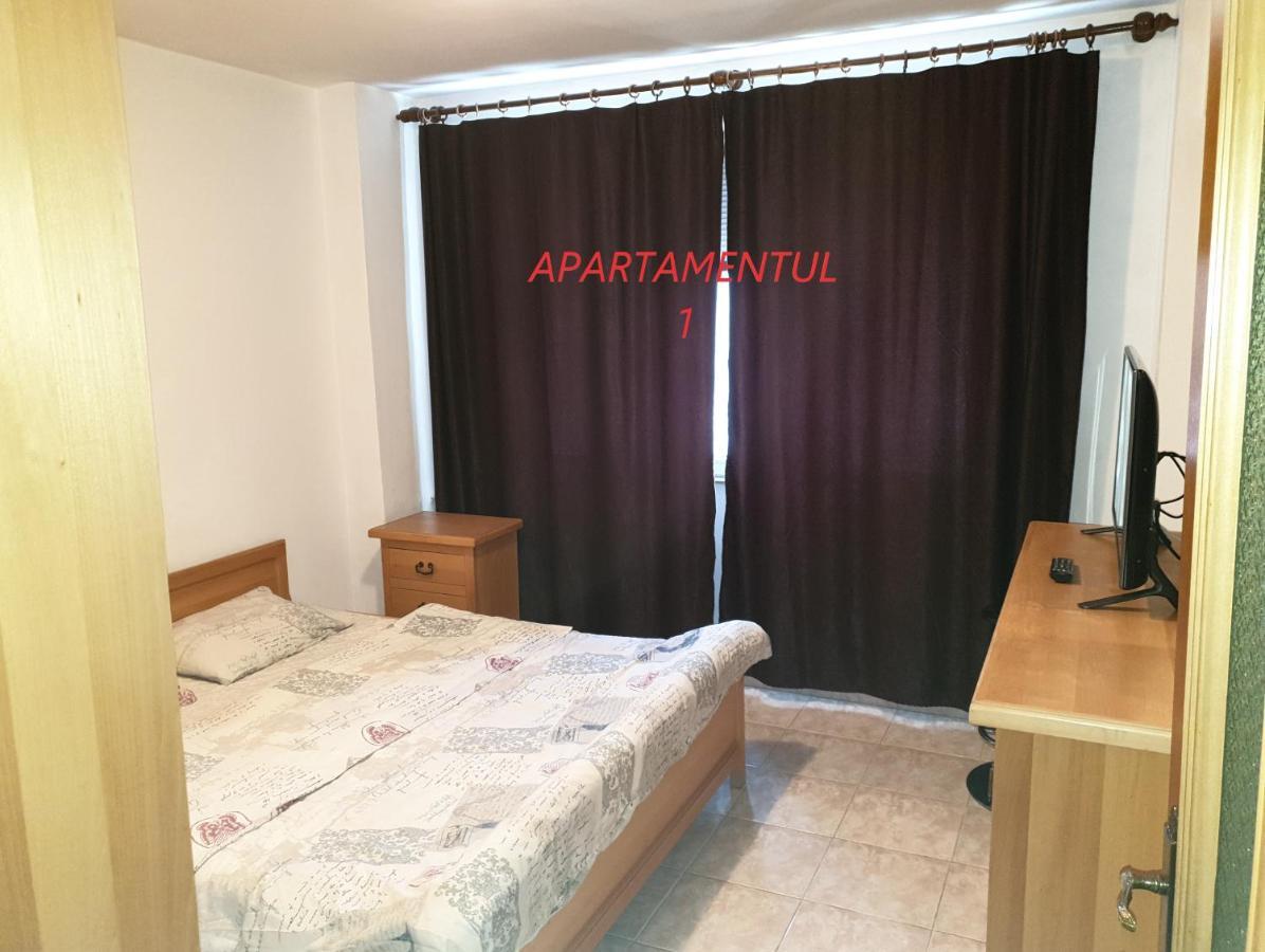 Apartament Cu 2 Camere,Ultracentral In Арад Екстериор снимка