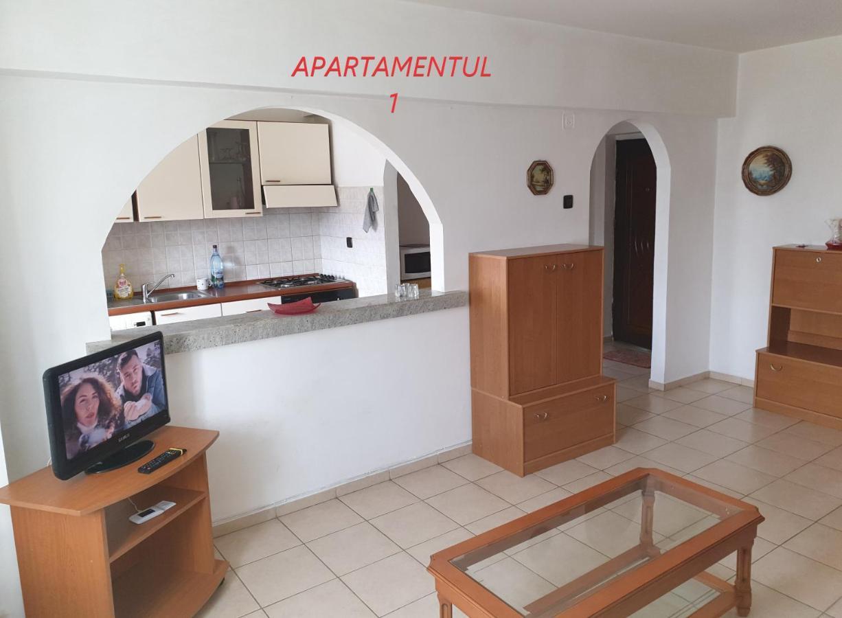 Apartament Cu 2 Camere,Ultracentral In Арад Екстериор снимка