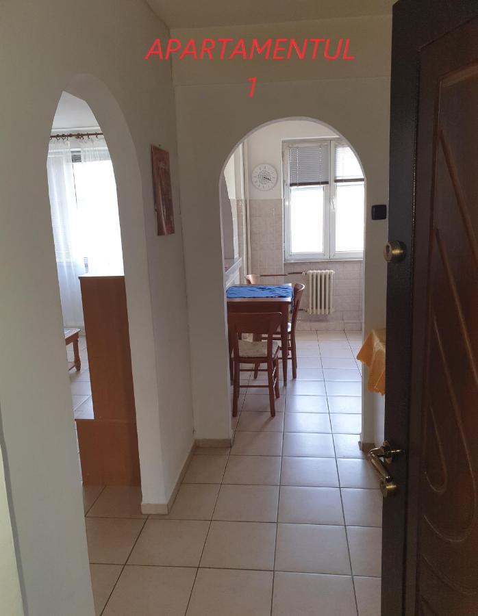Apartament Cu 2 Camere,Ultracentral In Арад Екстериор снимка